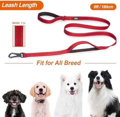 Twoear 6FT 1IN Heavy Duty Dog Leash for Large Dogs with 2 Padded Handles - Image 6