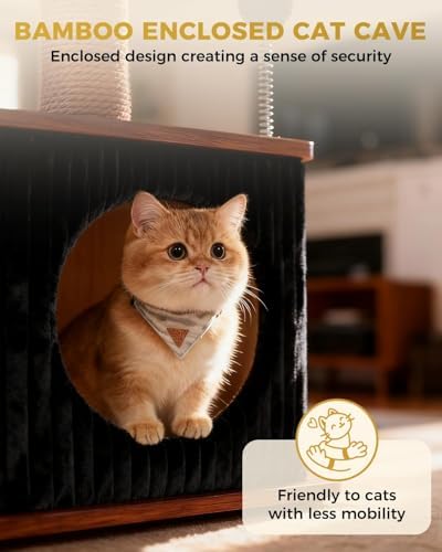 Small Cat Tree for Indoor Kittens, 30" Compact Modern Cat Tower - Image 3