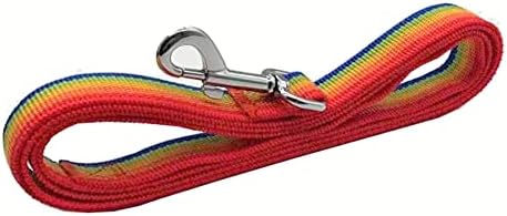 TAIAN 4FT/5FT/6FT Strong Dog Leash, Nylon Dog Leashes for Small Medium Large Dogs (1 in x 4 ft, Rainbow) - Image 3
