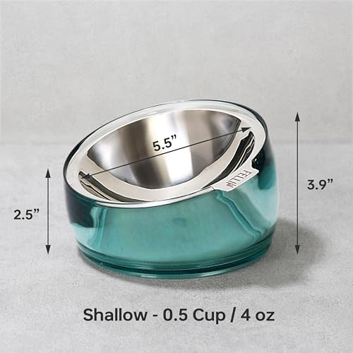 Felli Oblik Elevated Cat Bowl Removable Stainless Steel Wide Dish for Dry Wet Food Feeding & Dishwasher Clean, Slanted Whisker Fatigue Friendly Metal Plate (Classic, 0.5 Cups Shallow Dish) - Image 4