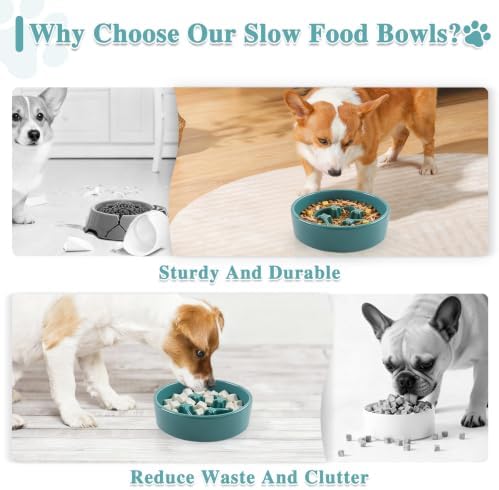 Ceramic Slow Feeder Dog Bowls,0.6 Cups Dog Food Dish for Small Medium Dogs - Image 6