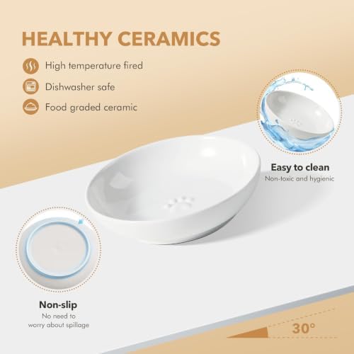 Havniva Elevated Cat Bowls, Cat Food and Water Bowl Set, Ceramic Cat Bowl - Image 3