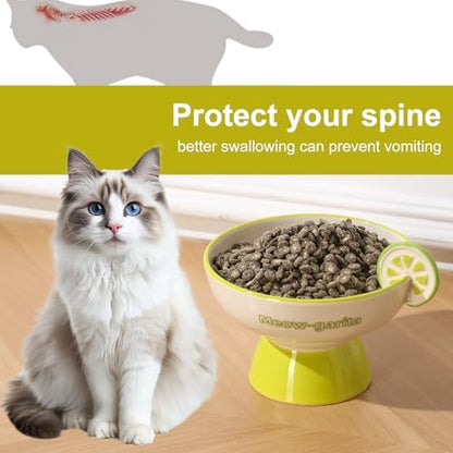 Elevated Cat Bowls Whisker Friendly. Ceramic Raised Whisker Fatigue Cat Bowl for Indoor Cats Protect The Spine and Prevent Vomiting. KGCCIZI - Image 6