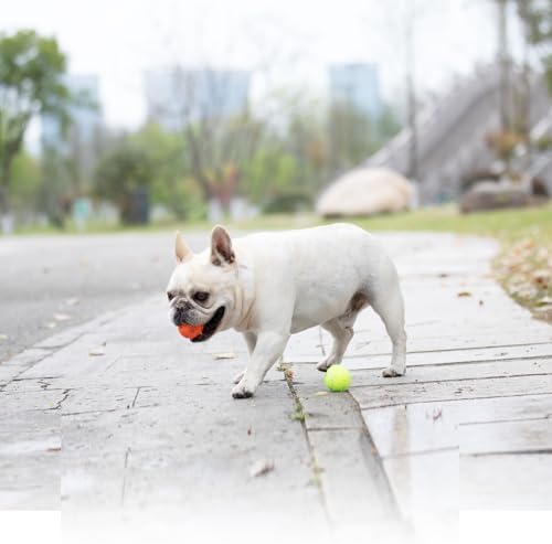Dog Toy Balls for Small Dogs & Puppies, Chew & Chase Interactive 2” Soft Latex Balls, Durable Dogs Play Balls for Indoor/Outdoor (9 Pcs) - Image 6