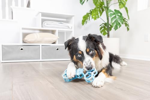 Chuckit! Holee Roller Dog Treat Puzzle Bone, Large, Blue – Interactive Treat & Chew Puzzle Toy for Dogs 60–100 lb – Durable Rubber Bone‑Shaped Fetch Toy for Mental Stimulation – Pack of 1 - Image 4
