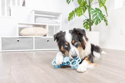 Chuckit! Holee Roller Dog Treat Puzzle Bone, Large, Blue – Interactive Treat & Chew Puzzle Toy for Dogs 60–100 lb – Durable Rubber Bone‑Shaped Fetch Toy for Mental Stimulation – Pack of 1 - Image 4