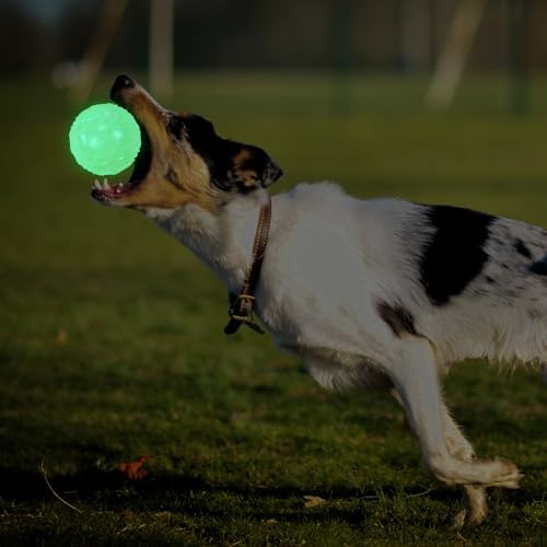LECHONG 4-Pack 2.5” Glow in The Dark Squeaky Dog Balls, Durable Glowing Bouncy Rubber Fetch Toy Balls for Small Medium Puppy Dogs Nighttime Playing Indoors and Outdoors - Image 7