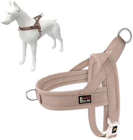 Plutus Pet No Pull Dog Harness for Medium Sized Dog, Breathable Mesh Padded by PLUTUSPET
