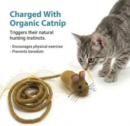 Glaciart One Felt Mouse Cat Toy – Soft Fuzzy Enrichment 100% Natural Wool - Interactive Catnip Play Cat Toy Set - Safe for Pets, Non-AZO Colored Dyes - 100” Long - Image 6