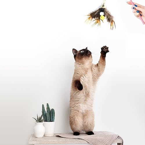 Cat Insect Feather Toys Replacement Cat Toy Wand Refills, 6 Pieces Natural Insect Cat Toy Feathers Refill, Interactive Cat Teaser Wand Attachments, with Bell - Image 7