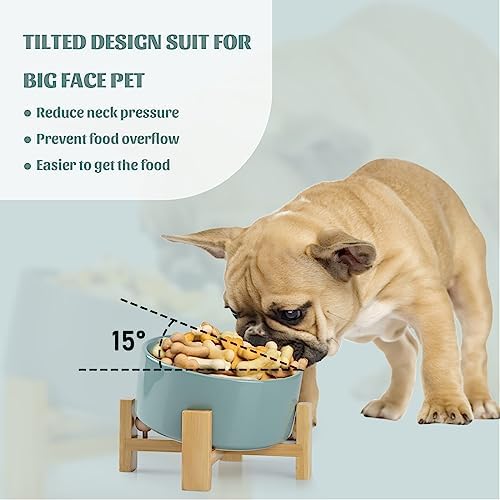 SPUNKYJUNKY 15° Slanted Ceramic Dog and Cat Bowl with Wooden Stand, Tilted Bulldog Food and Water Bowl No Slip Non-Spill for Cats Medium Dogs Big Face Pets 28.7 OZ (3.6 Cups, Light Green) - Image 2