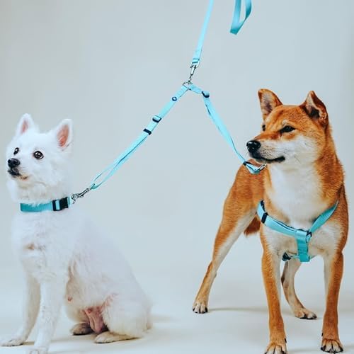 Blueberry Pet Essentials Durable Classic Double Dog Leash Coupler, Turquoise, Medium/Large, Dual Walking & Training Leashes for Two Dogs - Image 4