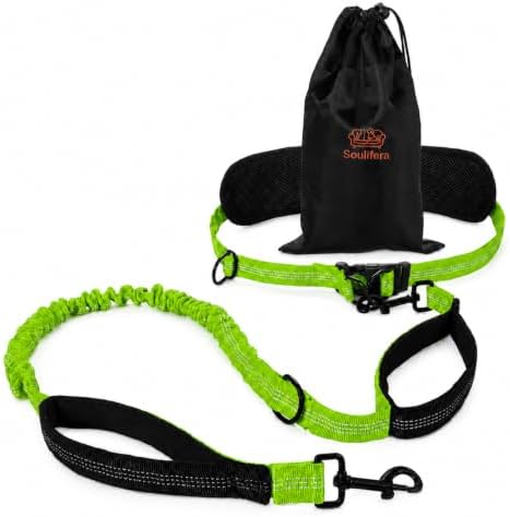 Hands Free Dog Leash, Adjustable Waist Belt 27-51", 2 Reflective Padded Handles, Comfortable Shock Absorbing Bungee, for Small Medium Large Dogs, Walking Jogging Running by Unknown