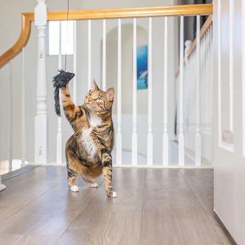 SPOT A-Door-Able Bouncing Mouse Cat Toy - Hanging Rattle & Catnip Interactive Toy, Entertain Cats for Hours, Indulge Natural Hunting Instincts, Provide Mental Stimulation, Suspend From Any Door Frame - Image 4