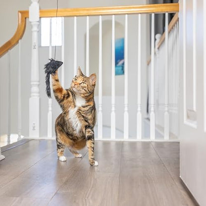 SPOT A-Door-Able Bouncing Mouse Cat Toy - Hanging Rattle & Catnip Interactive Toy, Entertain Cats for Hours, Indulge Natural Hunting Instincts, Provide Mental Stimulation, Suspend From Any Door Frame - Image 4