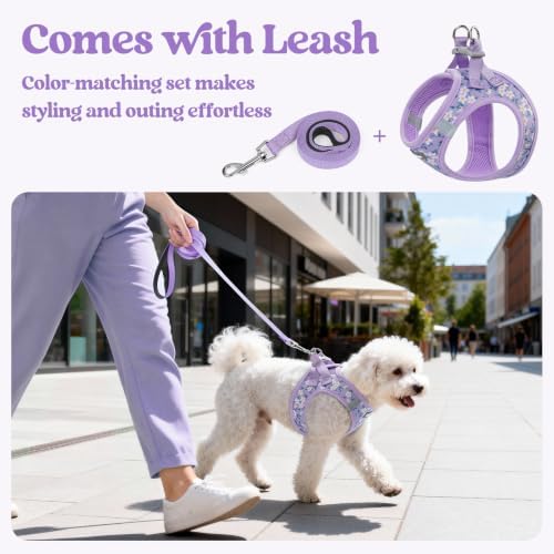 rabbitgoo Dog Harness Small Sized and Leash Set, Step-in Puppy Pet Vest - Image 6