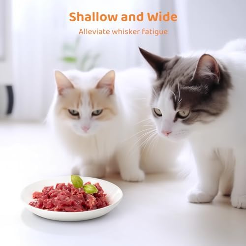 Ceramic Cat Food Plates: Cat Wet Food Bowls/Whisker Fatigue Cat Dishes & Shallow Bowls for Kittens and Small Animals - Image 3