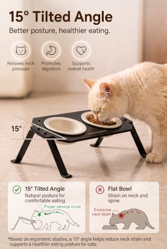 Elevated Cat Bowls 4.4oz x2，Ceramic cat Bowl with Acrylic Base - Image 4