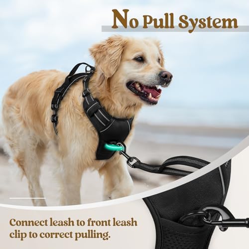 rabbitgoo Dog Harness, No Pull Medium Sized with 2 Leash Clips, Pet Vest - Image 5