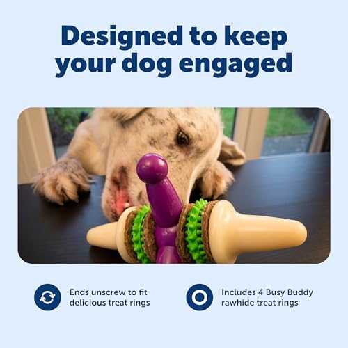 PetSafe Busy Buddy Jack - Treat Holding Dog Chew Toys - Helps Clean Teeth - Vanilla Scented Rubber for Strong Chewers - Treat Refills Included - Interactive Dog Toy Keeps Dogs Busy - Purple, Medium - Image 3