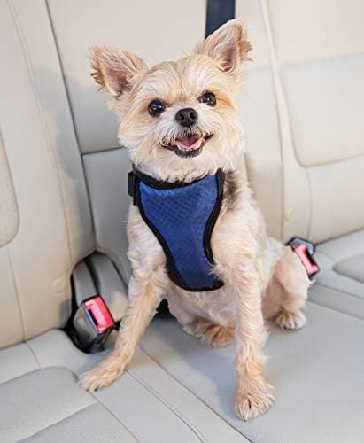 PetSafe Happy Ride Dog Safety Harness for Cars - Dog Car Harness Includes Seat Belt Tether - Keeps Pets Restrained - Breathable Mesh, Adjustable Straps - Dog Travel Accessories for Car - Small - Image 2