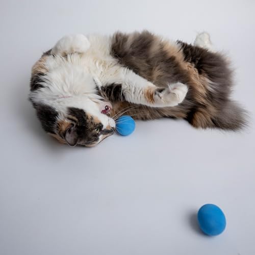 Rawry Foam Ball Cat Toy for Indoor Cats & Kittens, 24 Pack, Three Colors - Image 5