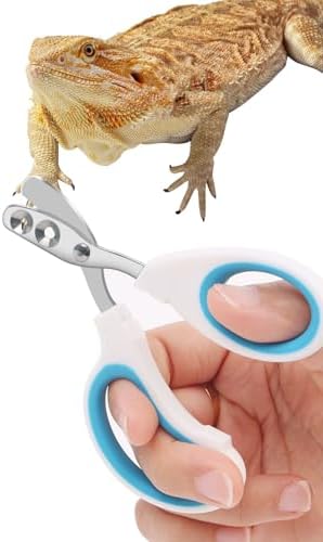 Stainless Steel Bearded Dragon Nail Clippers,Lizard Nail Clippers,Bearded Dragon Supplies,Bearded Dragon Nail Scissors for Small Reptiles,Turtle,Chameleon,Iguana，Hedgehog（Blue） by Engorgio