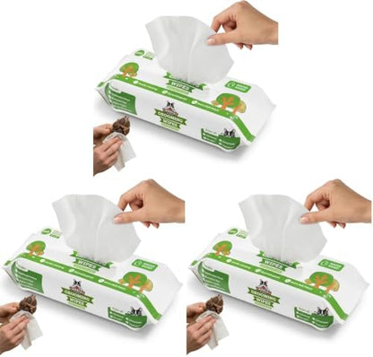 Pogi’s Dog Grooming Wipes – Hypoallergenic Pet Wipes for Paws, Body & Butt – Cleaning & Hydrating, Green Tea Scent, 100 Count (Pack of 3) by PogisPetSupplies