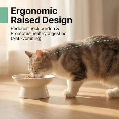 YULL Raised Ceramic Cat Bowls, 6" Wide 2.4" Tall Elevated White Cat Food and Water Dish, Shallow Wide Bowl for Whisker Fatigue Relief (2 Pack) - Image 3