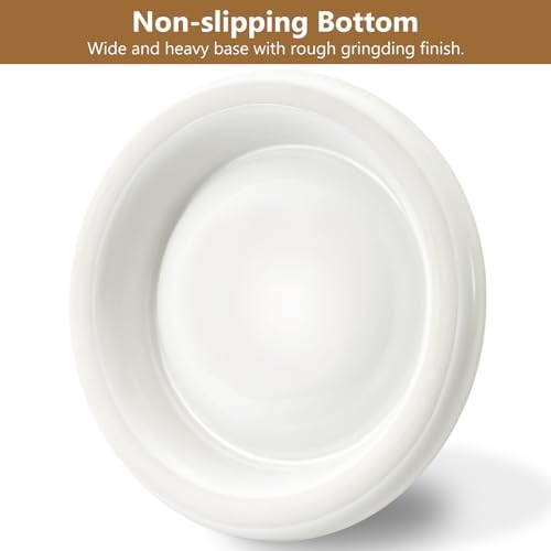Ant Proof No Spill Ceramic Cat Food Bowls,15° Tilted Neck Support,No Spill,Non-Slip Base,Easy Clean Pet Water Dishes for Cat and Small Dog Indoor or Outdoor Use(2 Pack) - Image 6