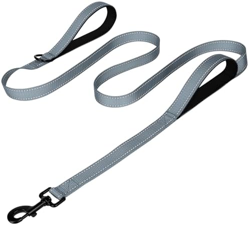 Joytale Dog Leash for Large Dogs that Pull, Double Handle, 6FT, Gray by Joytale