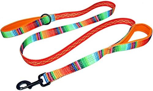 Double Handle 6 Foot Reflective Leash with Padded Handle - Pattern Collection by LeashBoss