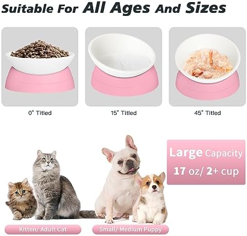 Elevated Cat Bowl, Adjustable Raised Slanted Food Bowl for Cats and Small Dogs, Wide Shallow PP Dish with TPR Non Slip Base, Whisker Friendly, 17 oz - Image 3