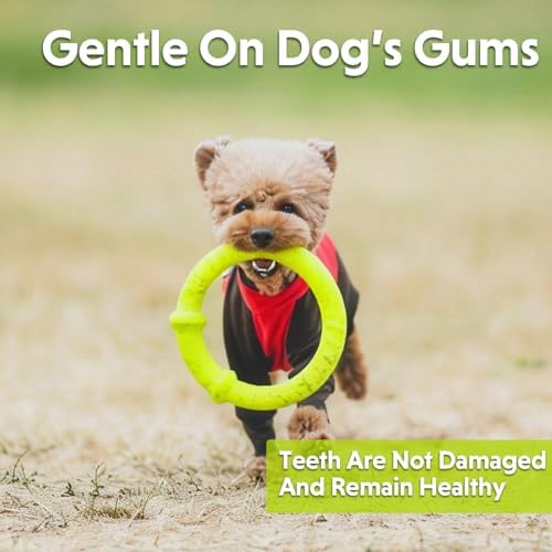 LaRoo Dog Chew Ring Toy for Small Dogs, Durable EVA Floating Puppy Teething Chew Toy, Interactive Tug of War Fetch Toy for Dental Cleaning & Outdoor Play (Green) - Image 6
