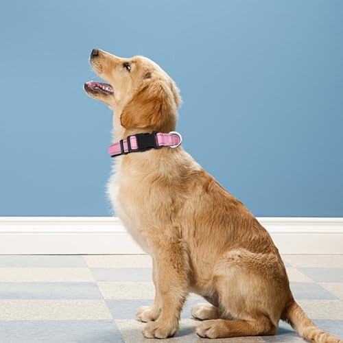 Reflective Dog Collar, Adjustable Soft Neoprene Padded,Light Pink,S - Image 2