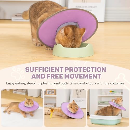 Avont Lightweight Waterproof Foldable Cone, Soft E-Collar - M Purple - Image 2