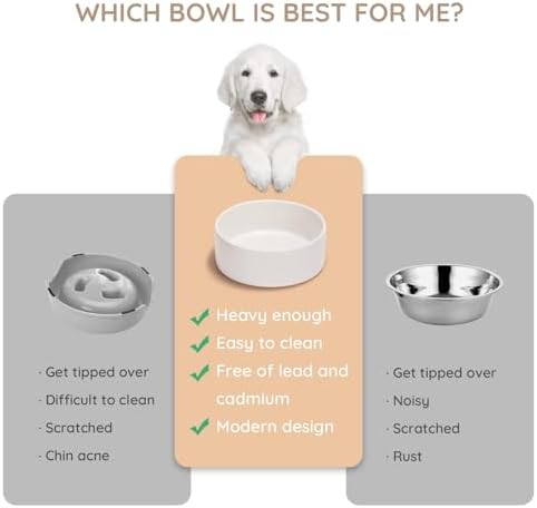 SPUNKYJUNKY 13.5OZ Ceramic Dog and Cat Bowl, Modern Cute Weighted Food Water Bowl for Replacement White (2 Pack) - Image 3