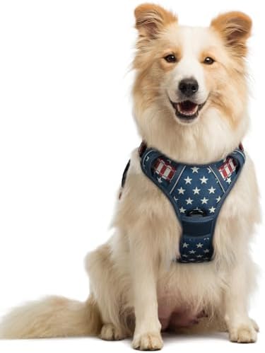 rabbitgoo Dog Harness, No Pull Medium Sized with 2 Leash Clips, Pet Vest by rabbitgoo