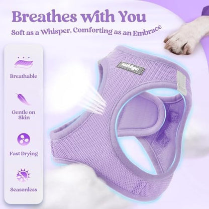 rabbitgoo Dog Harness Small Sized and Leash Set, Step-in Puppy Pet Vest - Image 4