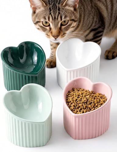 Ceramic Raised Cat Bowls, Elevated Cat Bowls Ceramic Cats Bowl Tilted Raised Cats Bowl for Food and Water Indoor Kitten and Small Dogs, Dishwasher and Microwave Safe by Zitonyang