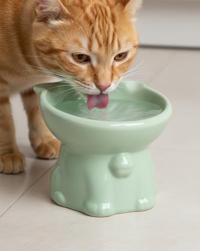 Ceramic Elevated Cat Bowls, 4 Pack 5 Oz Whisker Friendly Cat Bowls Cats Food Bowl Cats Food Dishes for Cats, Small Dog, Kitten, Microwave & Dishwasher Safe, 5.1 x 4.3 inch - Image 3