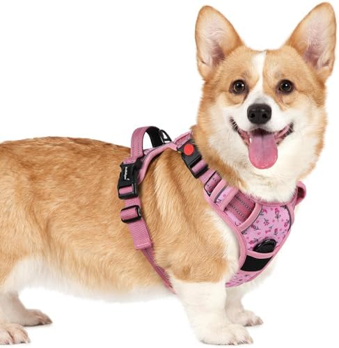 rabbitgoo Dog Harness Small Sized, Updated Easy On & Off with 3 Buckles by rabbitgoo
