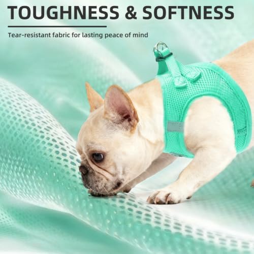 PUPTECK Dog Harness, Collar and Leash Set No Pull for Small Medium Sized - Image 6