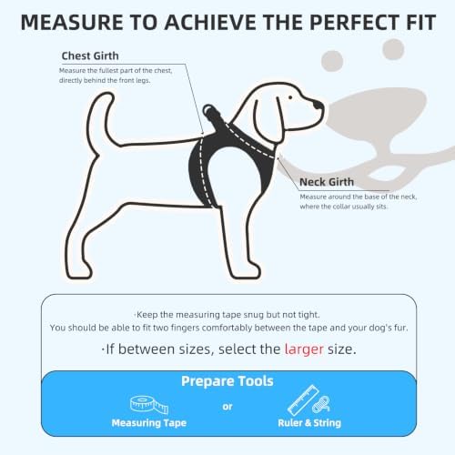 PUPTECK Dog Harness, Collar and Leash Set No Pull for Small Medium Sized - Image 2