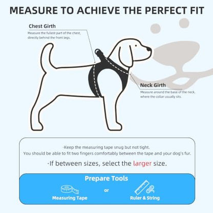 PUPTECK Dog Harness, Collar and Leash Set No Pull for Small Medium Sized - Image 2