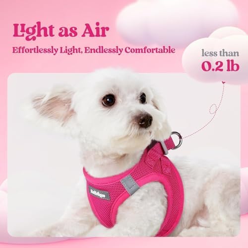 rabbitgoo Dog Harness Medium Sized and Leash Set, Step-in Puppy Pet Vest - Image 3