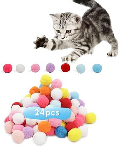 24 Pcs Colorful Pet Balls by DODHEG