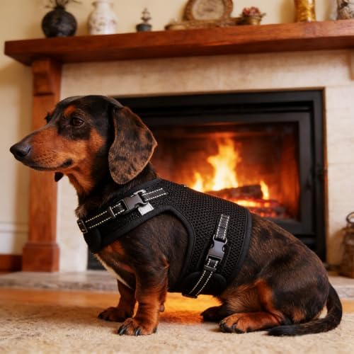 Mini Dachshund Harness – No Armpit Rub, Escape Proof, Reflective, No Pull Vest-Style Dachshunds Harness,Breathable Mesh Dog Harness (Black, S: Chest 32-41cm (12.5"-16")) - Image 6