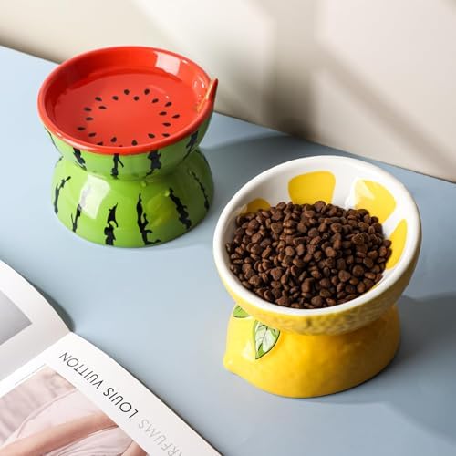 Elevated Cat Food Bowls for Indoor Cats Ceramic Raised Cat Bowl for Food and Water (Yellow) - Image 5