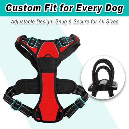 BARKBAY Dog Harness for Small Sized Dog No Pull 2 Leash Clips Dog Vest - Image 6